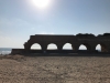 08-Amys-Birthright-Trip