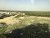 1_34-Amys-Birthright-Trip