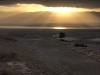 1_66-Amys-Birthright-Trip