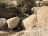 48-Amys-Birthright-Trip