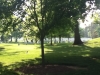 2013-0522-0446PMb