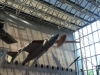 2013-0522-1052AMb