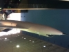 2013-0522-1101AMc