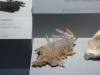 2013-0523-1159AMe